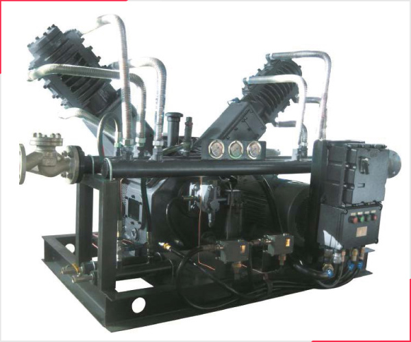 Petroleum Gas Compressor